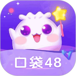 口袋48